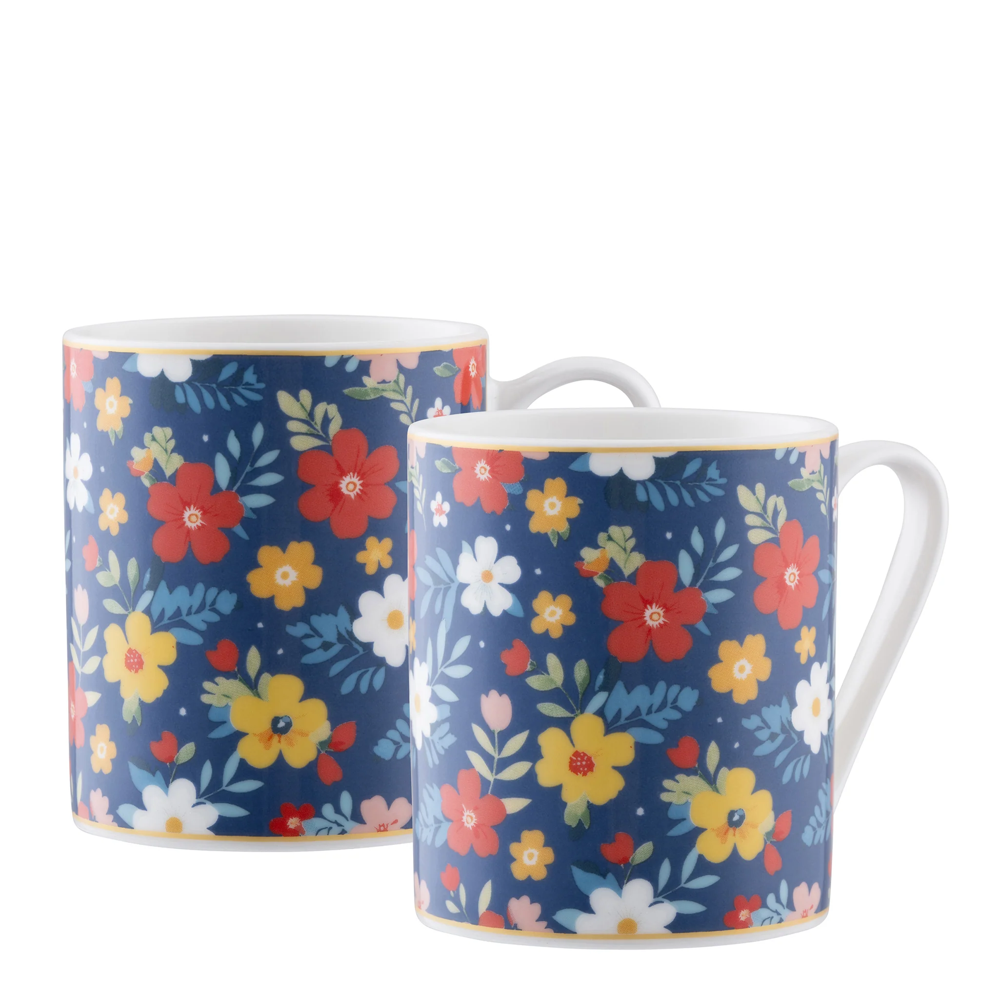 Aynsley Midnight Garden Mugs